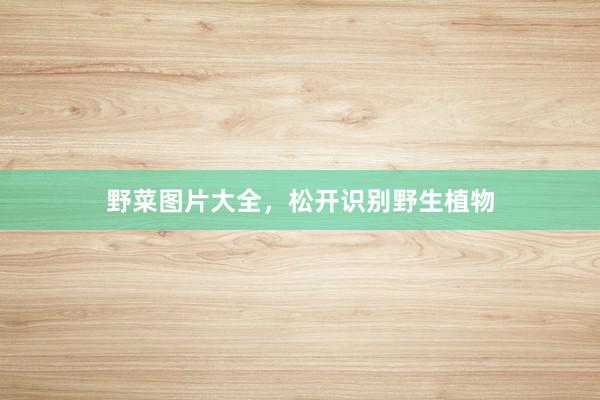 野菜图片大全，松开识别野生植物