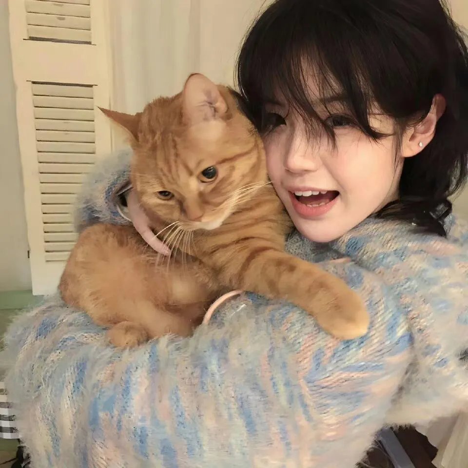 地下诊所第一季